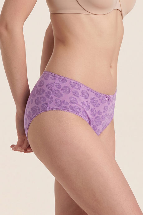 Zivame Regular Rise Full Coverage Hipster Panty (Pack of 3) - Multicolor — image 7